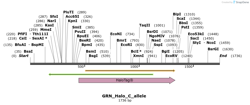 345762_map