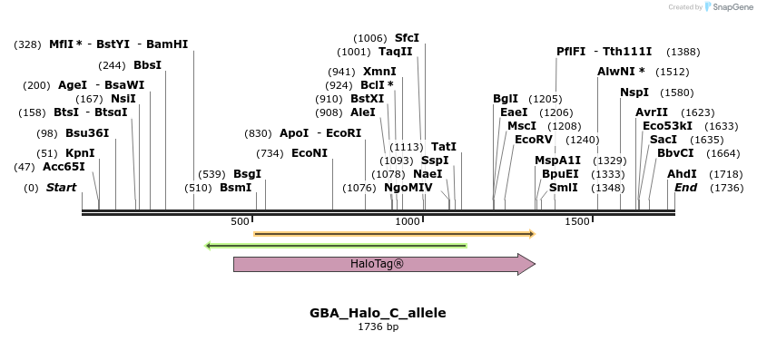 345764_map