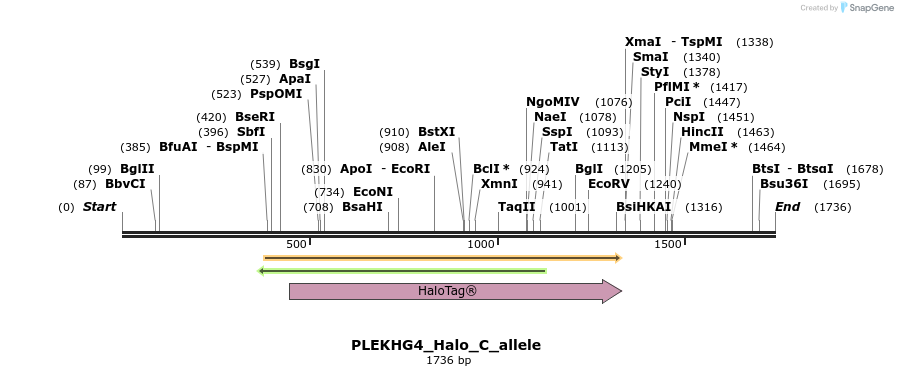 345765_map