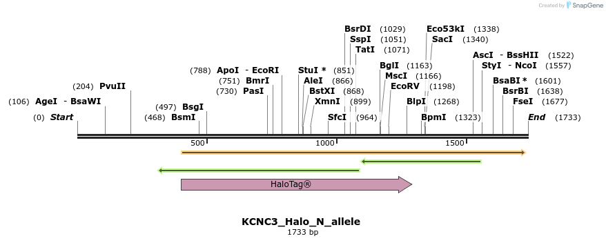 345766_map