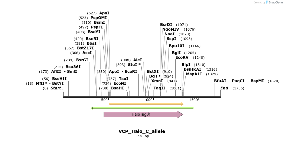 345769_map