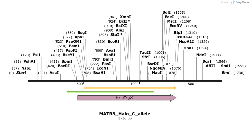 345772_map