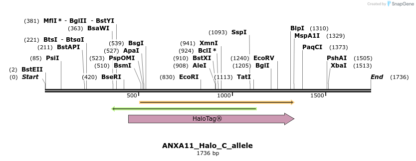345773_map