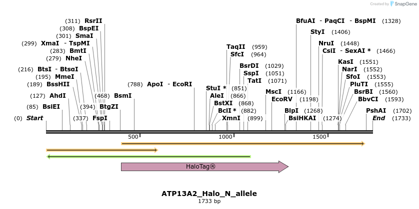 345775_map