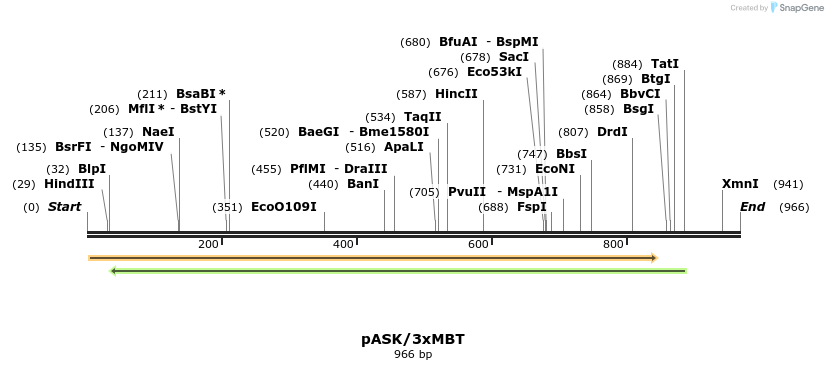 34578_map