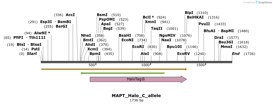 345780_map
