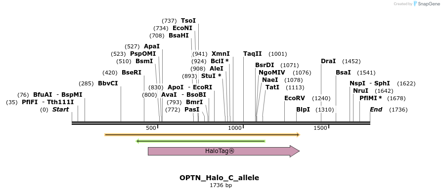 345781_map