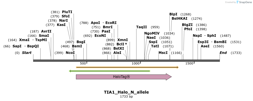 345786_map