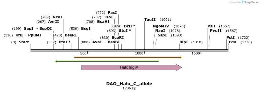 345792_map