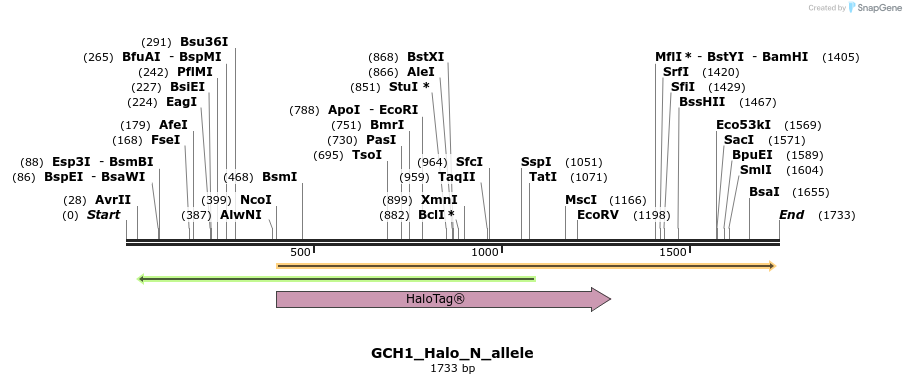 345796_map