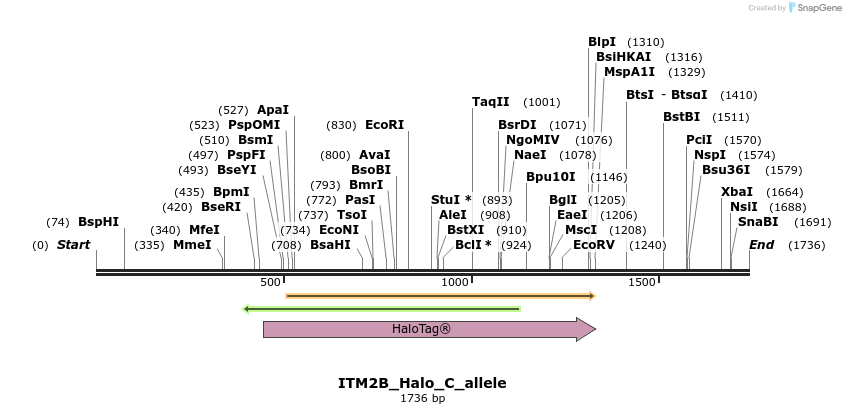 345797_map