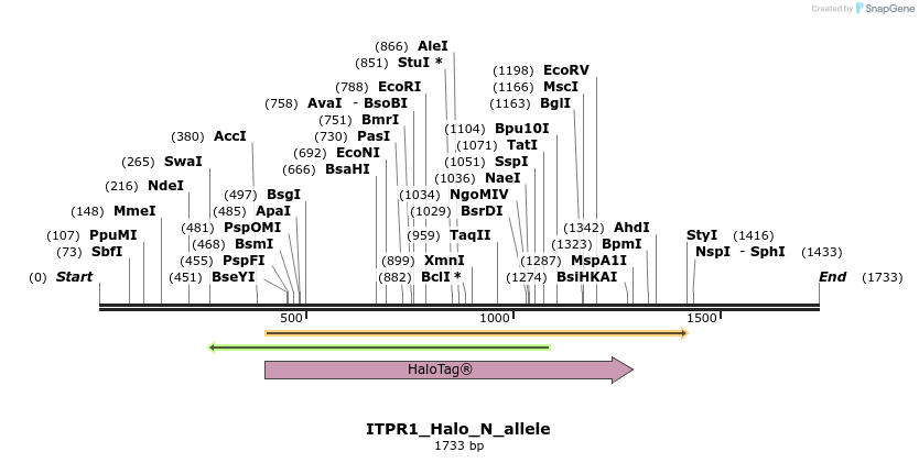 345798_map