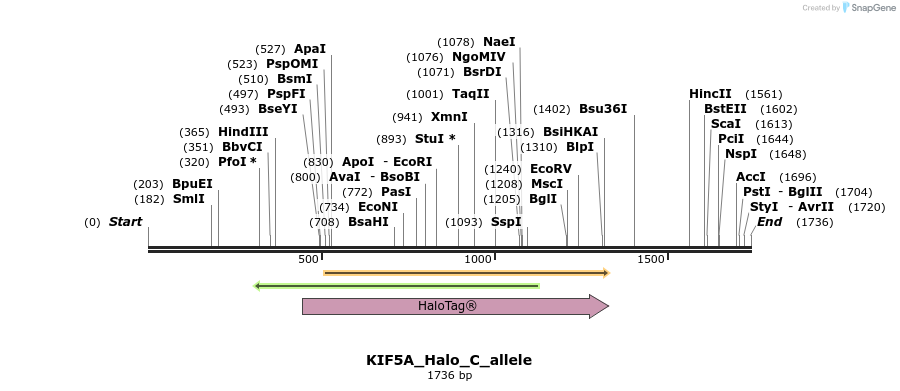 345800_map