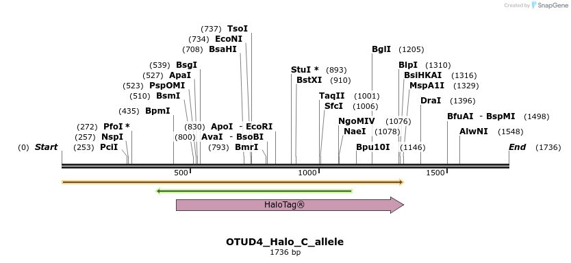 345801_map