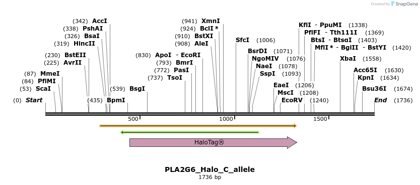 345803_map