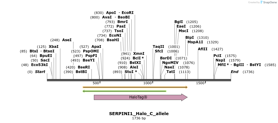 345805_map