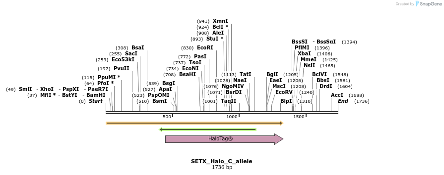 345806_map
