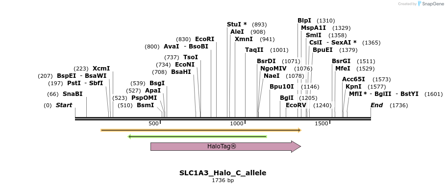 345807_map