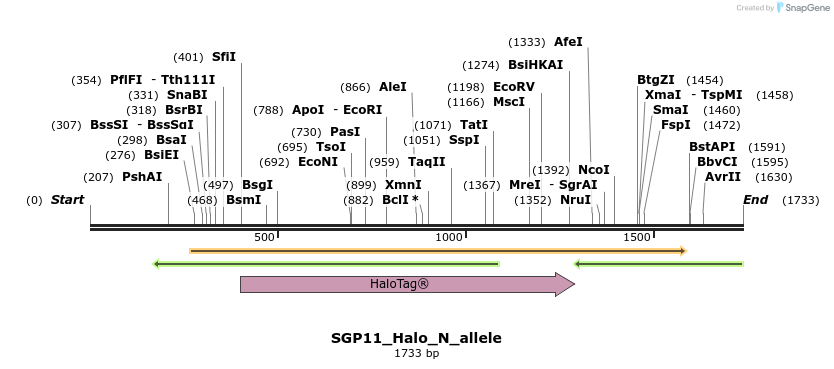 345808_map