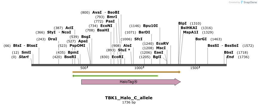 345809_map