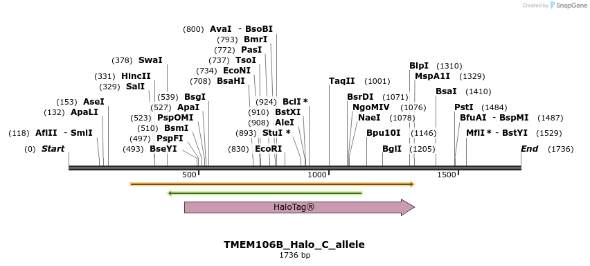 345810_map
