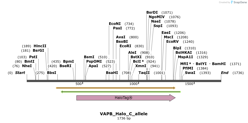 345811_map