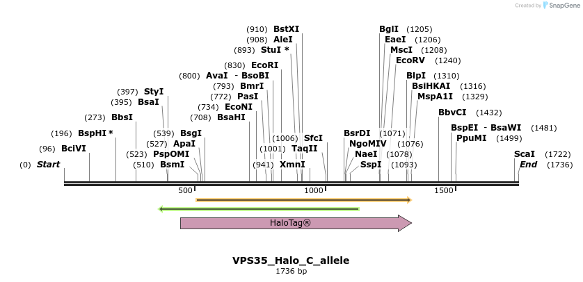 345812_map