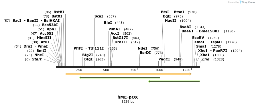 345829_map