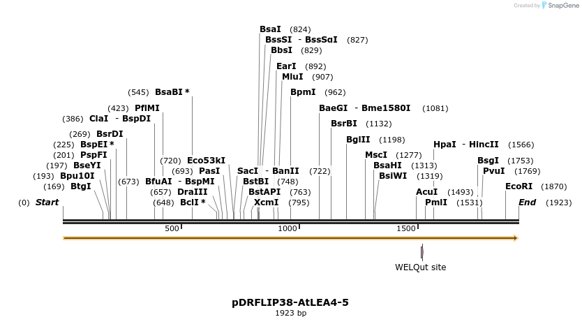 345848_map