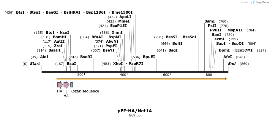 34587_map