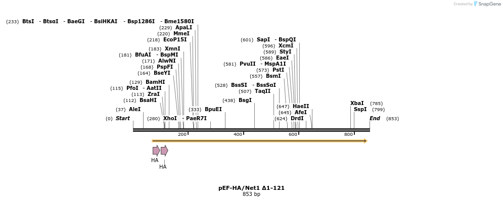 34588_map