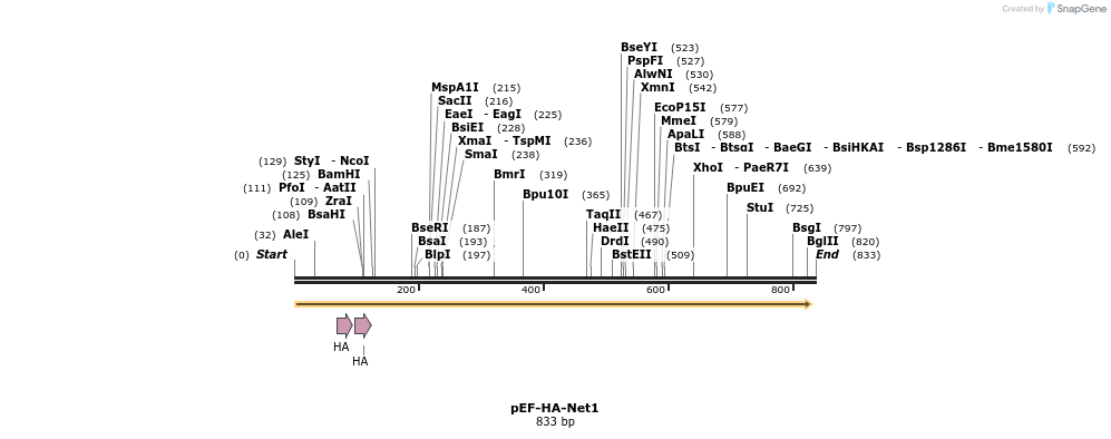 34589_map