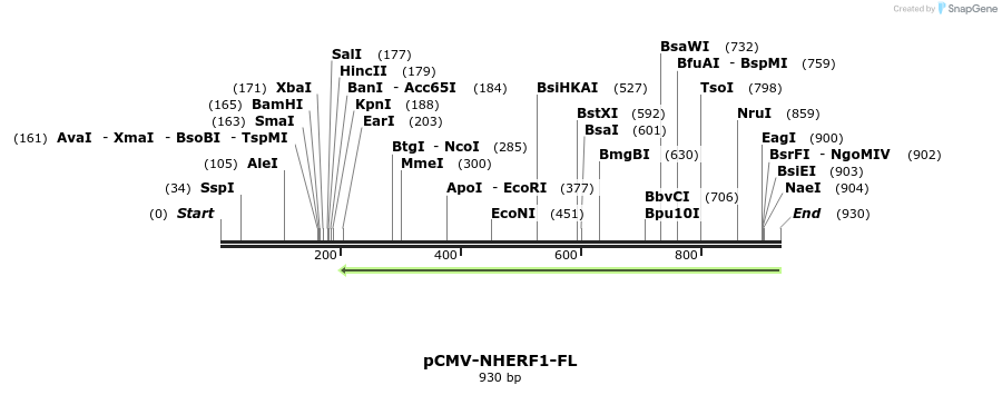 34597_map
