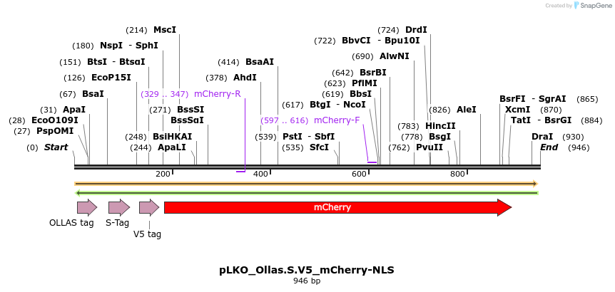 345972_map