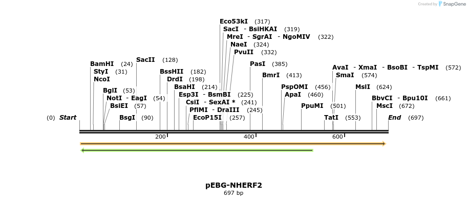 34599_map