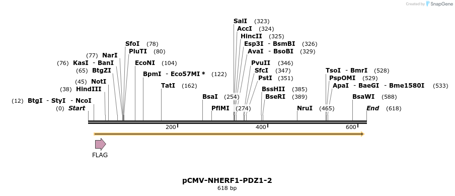 34601_map