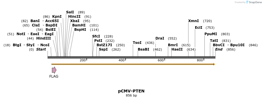 34605_map