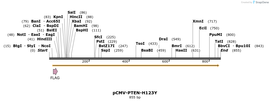 34606_map