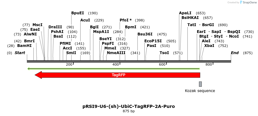 34609_map