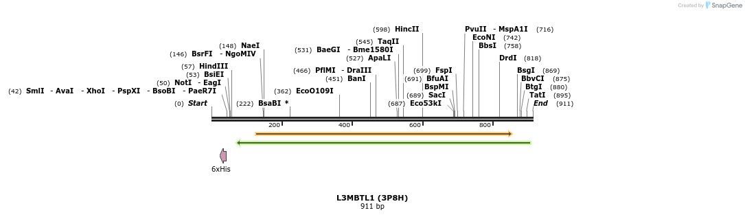 34610_map