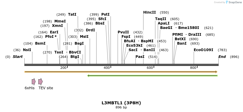 34611_map