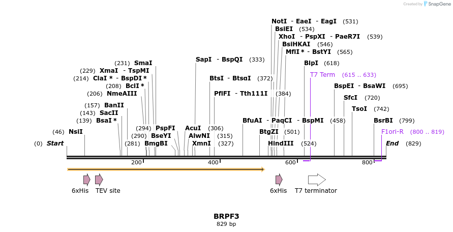 34616_map