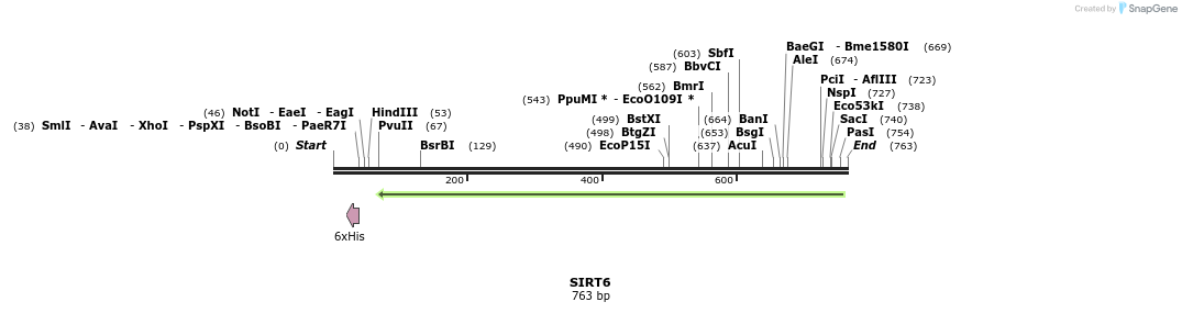 34618_map