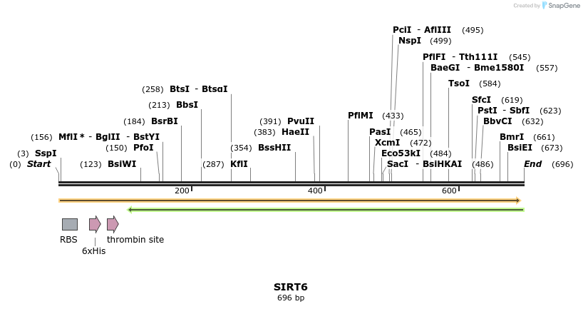 34619_map