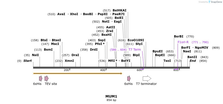 34621_map