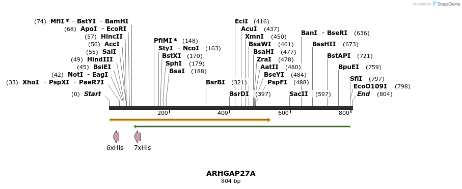 34624_map