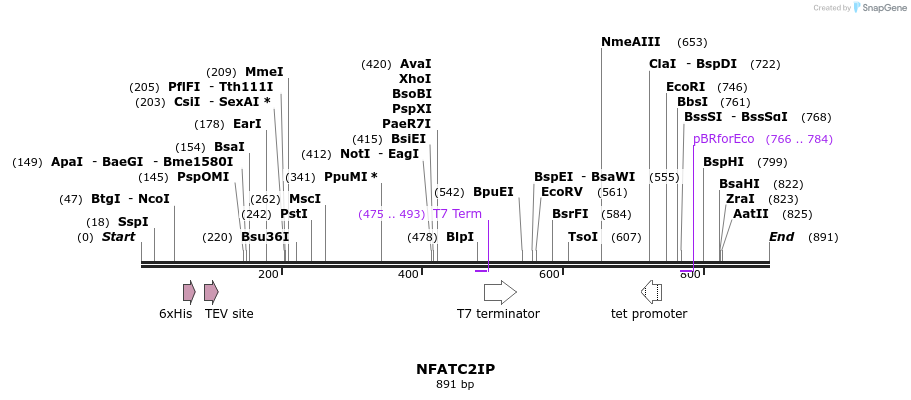 34632_map