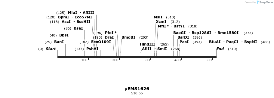 34636_map