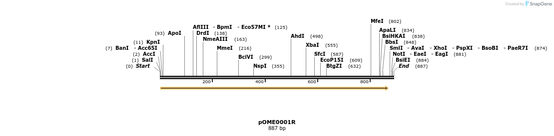 346397_map