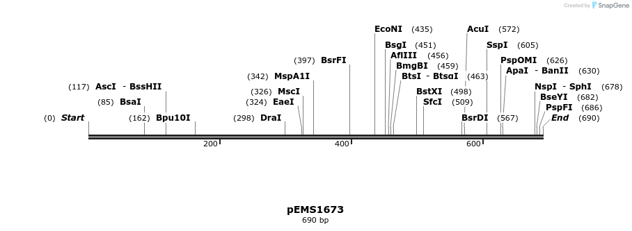34640_map